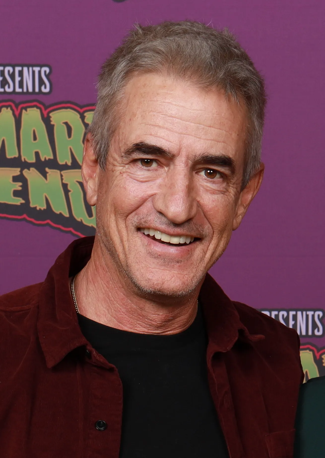 Dermot Mulroney